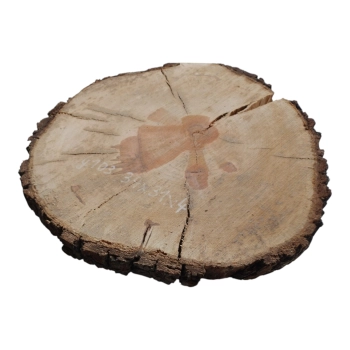 Plaster Gruszy 34x31x4cm
