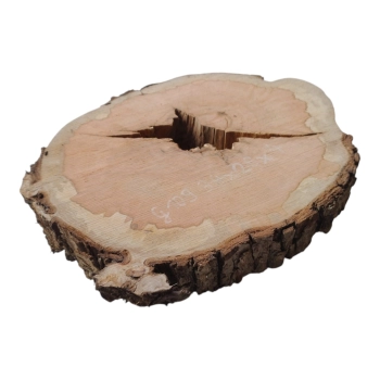 Plaster Gruszy 34x28x4cm