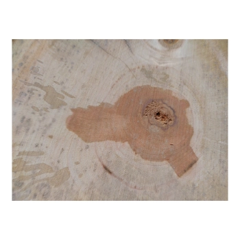Plaster Gruszy 34x32x4cm