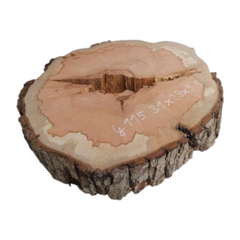 Plaster Gruszy 31x29x5cm