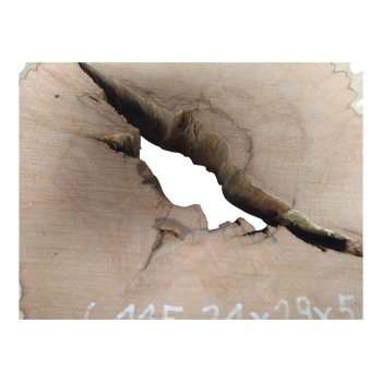 Plaster Gruszy 31x29x5cm
