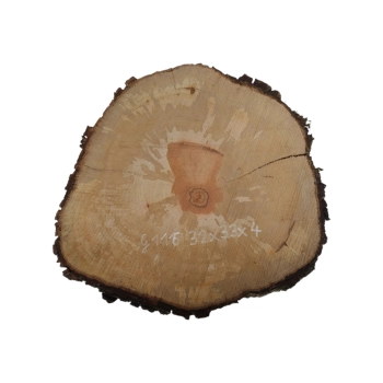 Plaster Gruszy 32x33x4cm