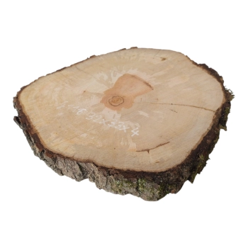 Plaster Gruszy 32x33x4cm