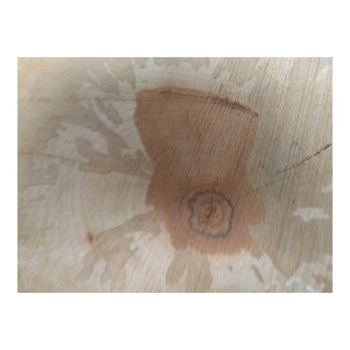 Plaster Gruszy 32x33x4cm