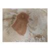 Plaster Gruszy 35x32x4cm