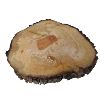 Plaster Gruszy 35x32x4cm