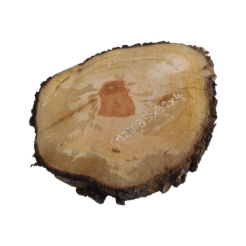 Plaster Gruszy 35x32x4cm
