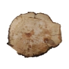 Plaster Gruszy 34x29x4cm