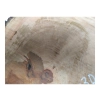 Plaster Gruszy 34x30x4cm