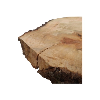 Plaster Gruszy 34x30x4cm