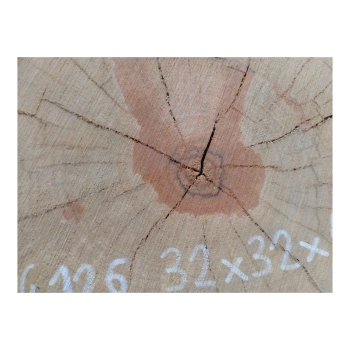 Plaster Gruszy 32x32x4cm
