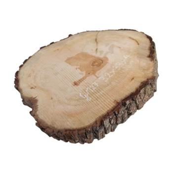 Plaster Gruszy 32x33x4cm