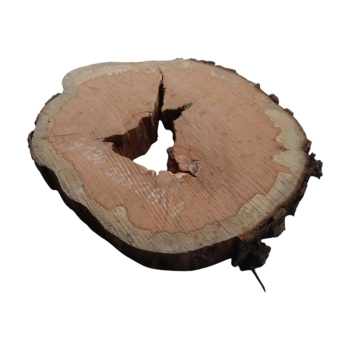Plaster Gruszy 33x28x4cm