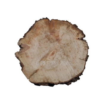 Plaster Gruszy 33x31x5cm