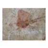 Plaster Gruszy 33x33x4cm