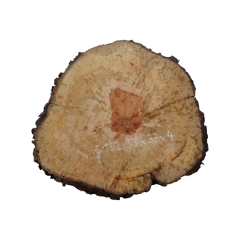 Plaster Gruszy 33x33x4cm