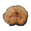 Plaster Gruszy 37x31x5cm