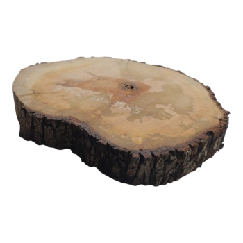 Plaster Gruszy 37x31x5cm