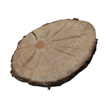 Plaster Gruszy 34x29x2,5cm