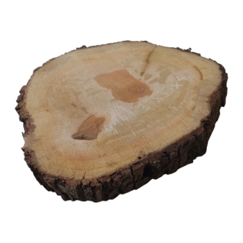 Plaster Gruszy 34x33x4cm