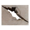 Plaster Gruszy 31x28x4cm
