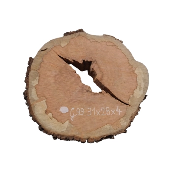 Plaster Gruszy 31x28x4cm