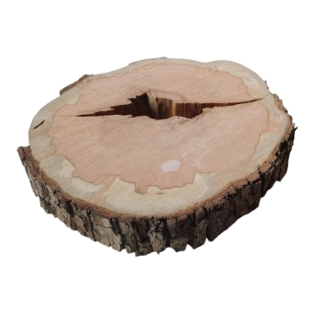 Plaster Gruszy 31x28x4cm