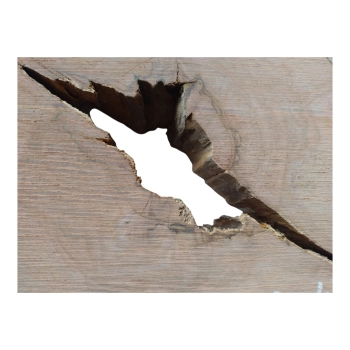 Plaster Gruszy 31x28x4cm