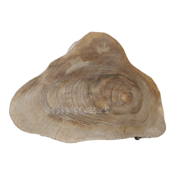 Plaster Orzecha Włoskiego 46x35x5cm