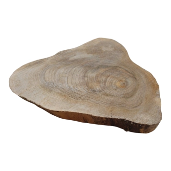 Plaster Orzecha Włoskiego 46x35x5cm
