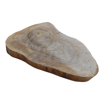 Plaster Orzecha Włoskiego 45x33x4cm