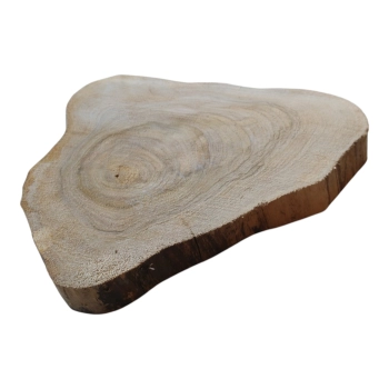 Plaster Orzecha Włoskiego 46x34x5cm