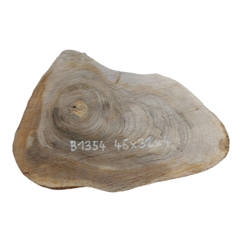 Plaster Orzecha Włoskiego 46x32x4cm