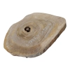 Plaster Orzecha Włoskiego 41x33x4cm