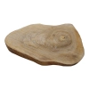Plaster Orzecha Włoskiego 46x32x4cm