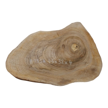 Plaster Orzecha Włoskiego 46x32x4cm