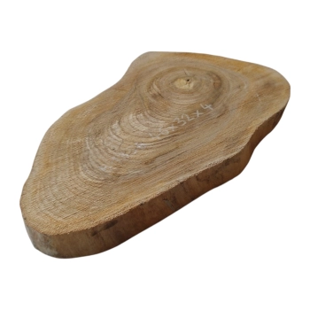 Plaster Orzecha Włoskiego 46x32x4cm