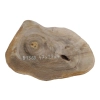 Plaster Orzecha Włoskiego 47x29x4cm