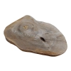 Plaster Orzecha Włoskiego 47x29x4cm