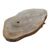 Plaster Orzecha Włoskiego 46x32x4cm