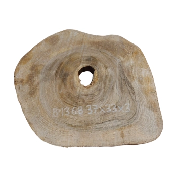 Plaster Orzecha Włoskiego 37x33x3cm
