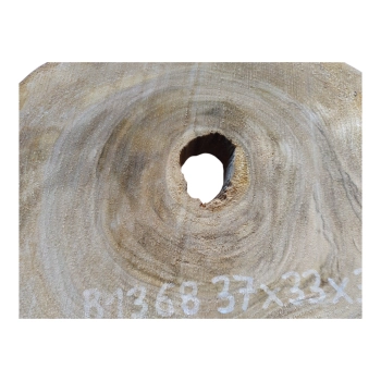 Plaster Orzecha Włoskiego 37x33x3cm