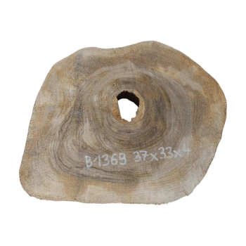 Plaster Orzecha Włoskiego 37x33x4cm