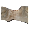 Plaster Orzecha Włoskiego 64x32x3cm
