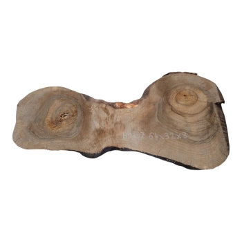 Plaster Orzecha Włoskiego 64x32x3cm