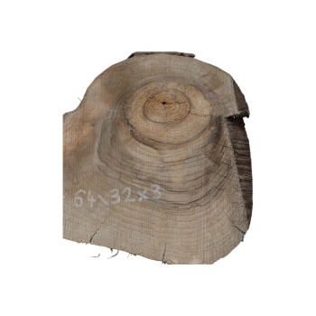 Plaster Orzecha Włoskiego 64x32x3cm