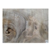 Plaster Orzecha Włoskiego 59x32x4cm
