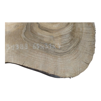 Plaster Orzecha Włoskiego 65x31x4cm