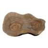 Plaster Orzecha Włoskiego 55x34x5cm