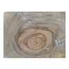 Plaster Orzecha Włoskiego 55x34x5cm